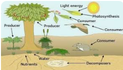 BIO 107: GENERAL BIOLOGY PRACTICAL 1